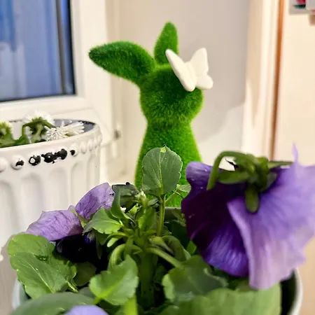 Lägenhet Al-dom Dworcowa 9 *